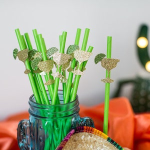Fiesta Party Decorations. Margarita Party Decorations. Cinco de Mayo Decorations. Fiesta Straws. Margarita Straws. Fiesta Bridal Shower.