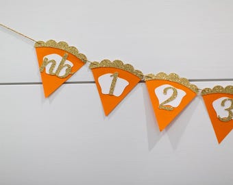 Pumpkin Pie First Birthday Photo Banner, Glitter Accent