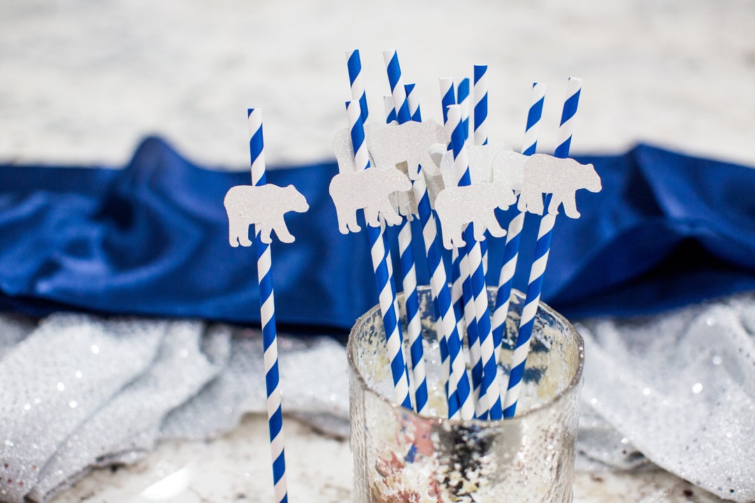 Polar Bear Party Decorations. Boy Winter Onederland Decorations. Boy