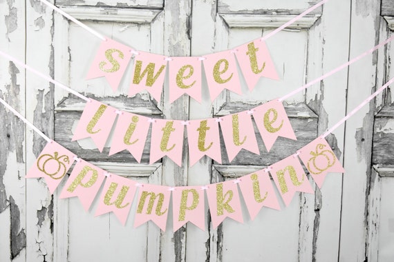 Sweet Little Pumpkin Decorations, Sweet Little Pumpkin Birthday, Sweet Little Pumpkin Baby Shower, Pink and Gold Little Pumpkin Banner Il_570xn
