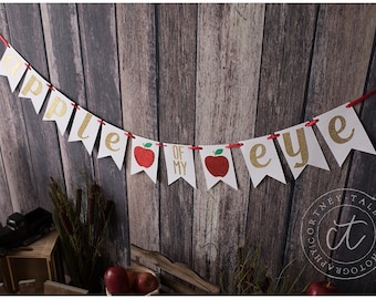 Apple of My Eye Banner, Glitter Gold and Red, Party Decoration