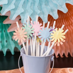 Boho Sun Party Decorations. Boho Sunshine Party Decorations. Boho Party Decor. You Are My Sunshine Party Decor. Pastel Rainbow Sunshine .