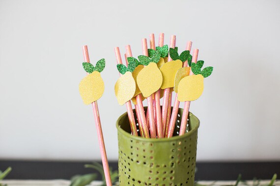 Pink Lemonade Party Decorations. Pink Lemonade Birthday. Pink Lemonade Straws. Lemon Bridal Shower. Lemon Baby Shower. Lemonade 1st Birthday Il_570xn