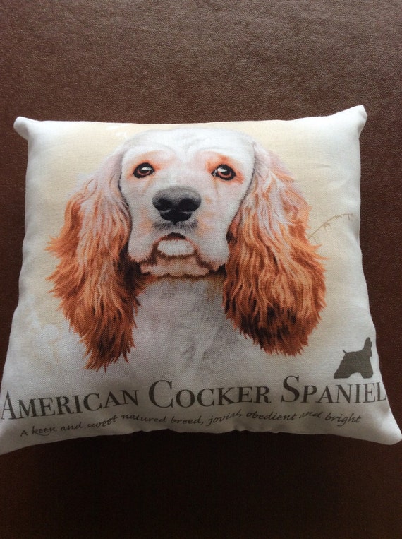 miniature american cocker spaniel