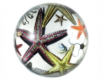Paperweight: Starfish (Handmade)