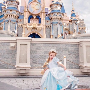 Cinderella Dress- Blue Dress
