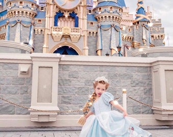 Cinderella Dress- Blue Dress