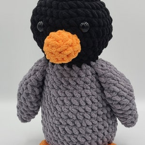 Rosalie the Baby Penguin