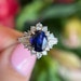 see more listings in the All section