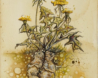 Art Print, 6 by 8 inches, Fantasy Illustration, Mandrake, Dandelion Roots, Plant, Flower, Fairytale, Watercolor, Pen and Ink