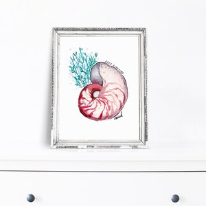 May include: Watercolor painting of a nautilus shell with red and white stripes, a gray top, and teal coral. The framed art piece has the words "Keep Evolving" and the artist's signature "mink". The frame is silver.