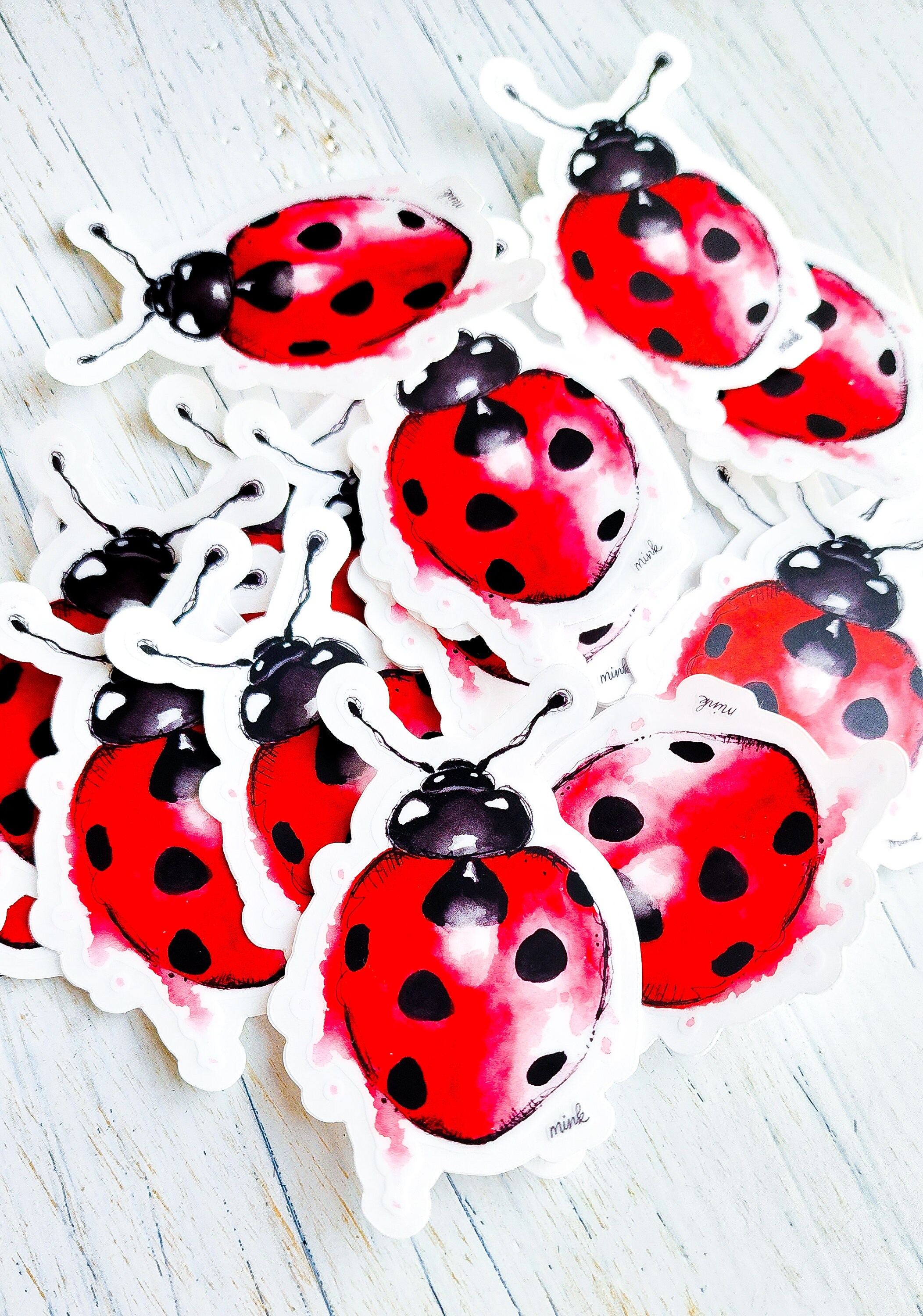 Lady Bug Sticker, Vinyl Sticker, Fade and Scratch Resistant - Etsy