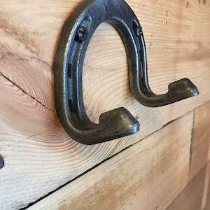 pony shoe double hook