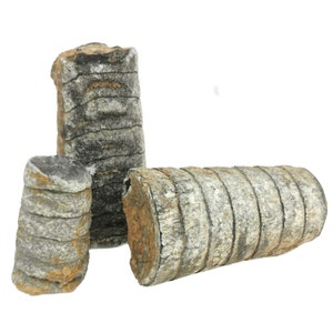 Stelo di crinoide - Fossile