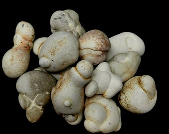 Menilite - Fairy Stone Concretion- Raw