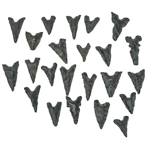 May include: A collection of 25 black arrowheads, some with a slightly pointed tip and others with a more rounded tip.