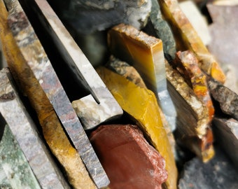 5 Dollar Lapidary Slab - Roh