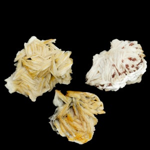 Può includere: Tre gruppi di cristalli di barite, uno bianco con accenti rossi e due con una tonalità giallo-marrone. I cristalli sono disposti su uno sfondo nero.