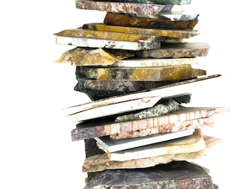 9 Dollar Lapidary Slab - Roh