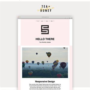 Può includere: Uno schermo di computer che mostra un sito web con uno sfondo rosa e il testo "HELLO THERE" e "Your Monthly Update". Il sito web presenta anche un logo in bianco e nero della lettera "S" e una foto di mongolfiere nel cielo.
