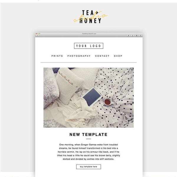 Email Newsletter Template, Mailchimp Customizable Template, Responsive HTML email, Photography Email, Email Newsletter, Instant download