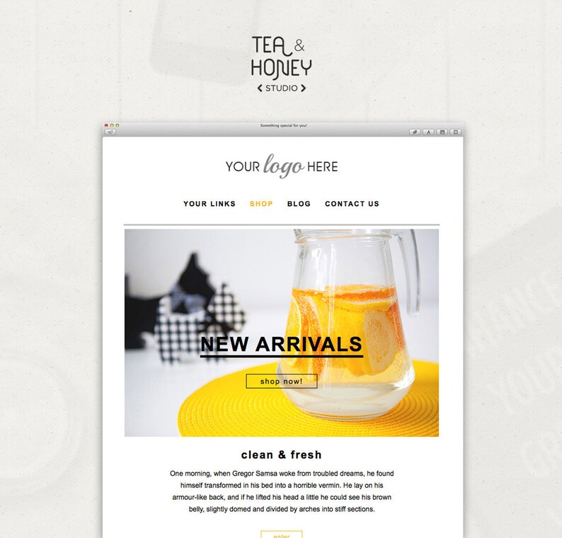 Mailchimp HTML Template Email Newsletter Clean Design Modern 