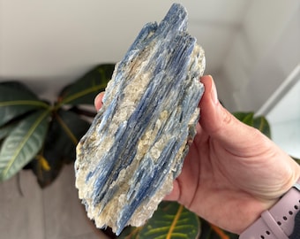 Blue Kyanite & Clear Quartz Crystal| Natural Kyanite| Healing Crystal| Meditation Crystal| Kyanite| Blue Kyanite Raw| Blue Crystal| Quartz
