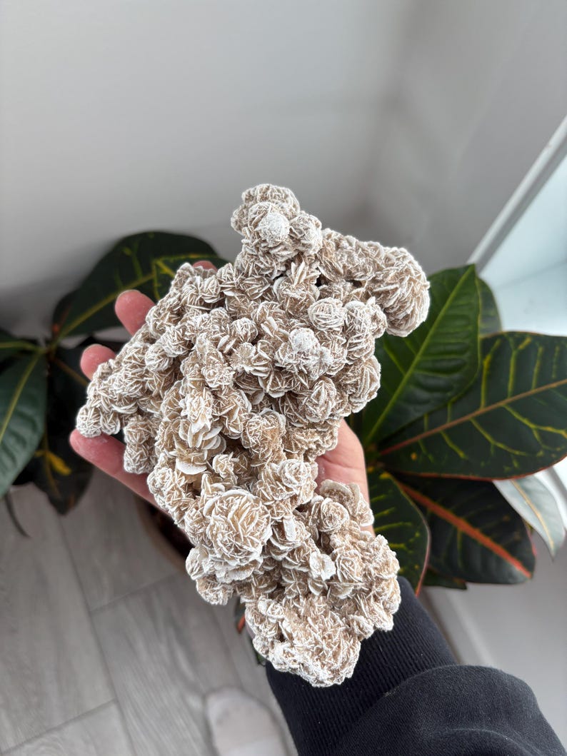 Desert Rose Gypsum Clusters | Selenite Desert Rose | Desert Rose Crystal | Desert Rose Cluster | Raw Crystal| Selenite Style 1