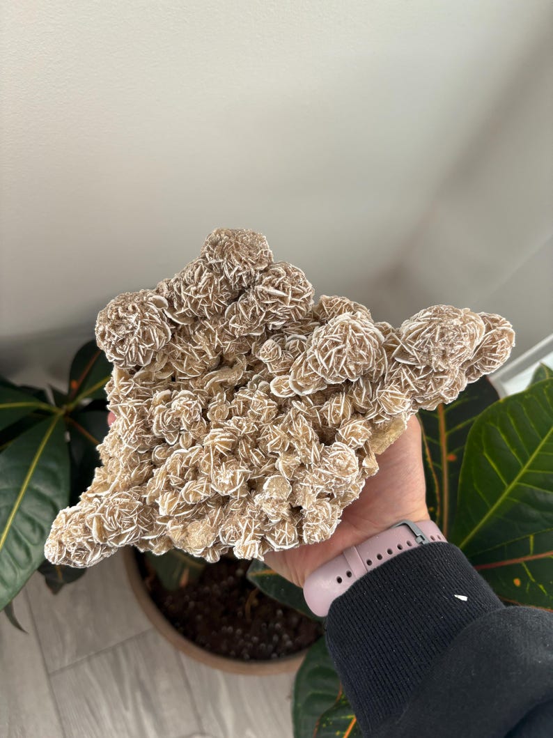 Desert Rose Gypsum Clusters | Selenite Desert Rose | Desert Rose Crystal | Desert Rose Cluster | Raw Crystal| Selenite Style 2