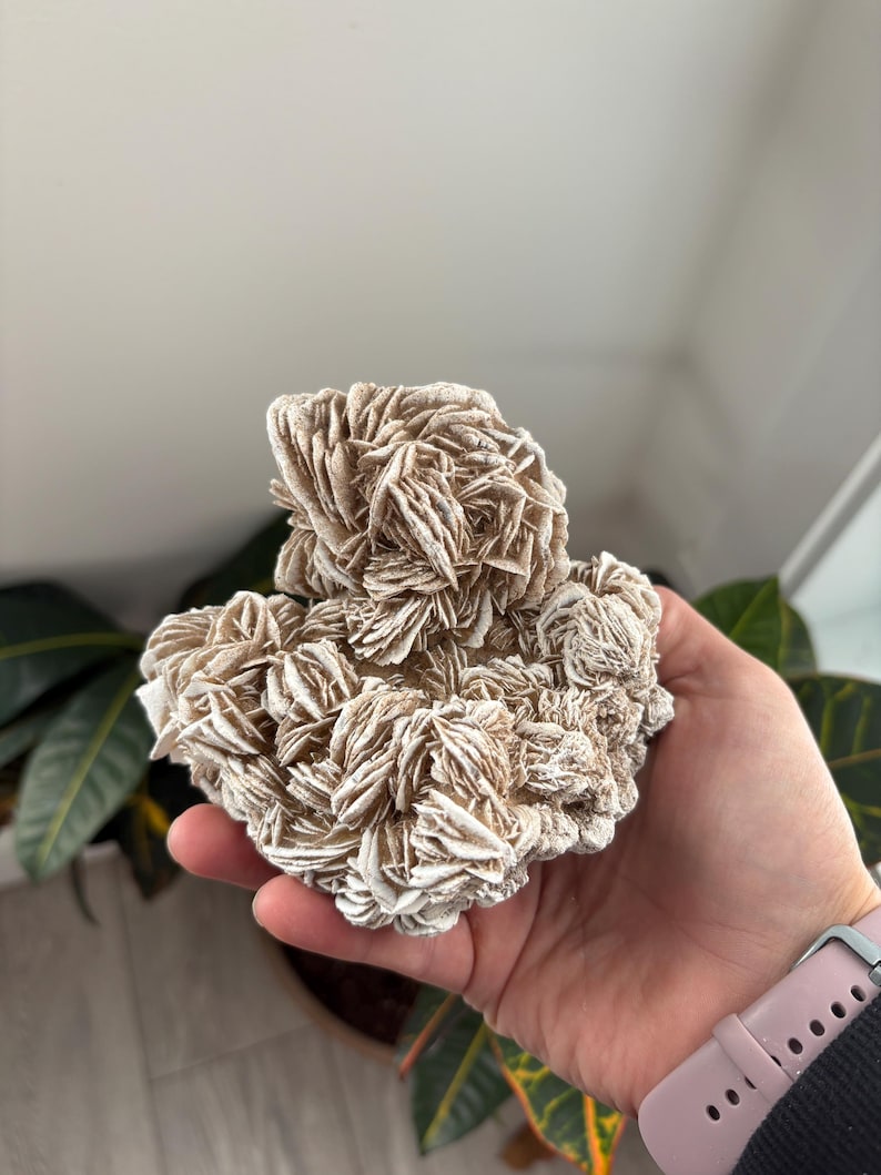 Desert Rose Gypsum Clusters | Selenite Desert Rose | Desert Rose Crystal | Desert Rose Cluster | Raw Crystal| Selenite Style 5