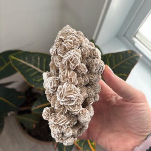 Desert Rose Gypsum Clusters | Selenite Desert Rose | Desert Rose Crystal | Desert Rose Cluster | Raw Crystal| Selenite Style 3