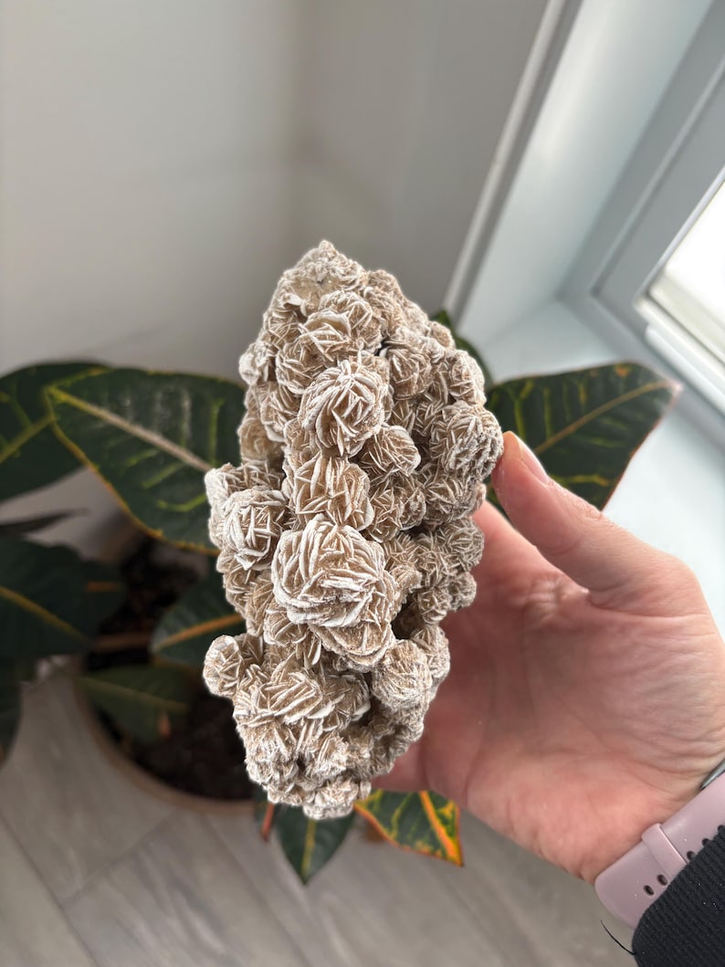 Desert Rose Gypsum Clusters | Selenite Desert Rose | Desert Rose Crystal | Desert Rose Cluster | Raw Crystal| Selenite Style 3