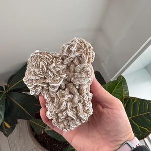 Desert Rose Gypsum Clusters | Selenite Desert Rose | Desert Rose Crystal | Desert Rose Cluster | Raw Crystal| Selenite Style 4