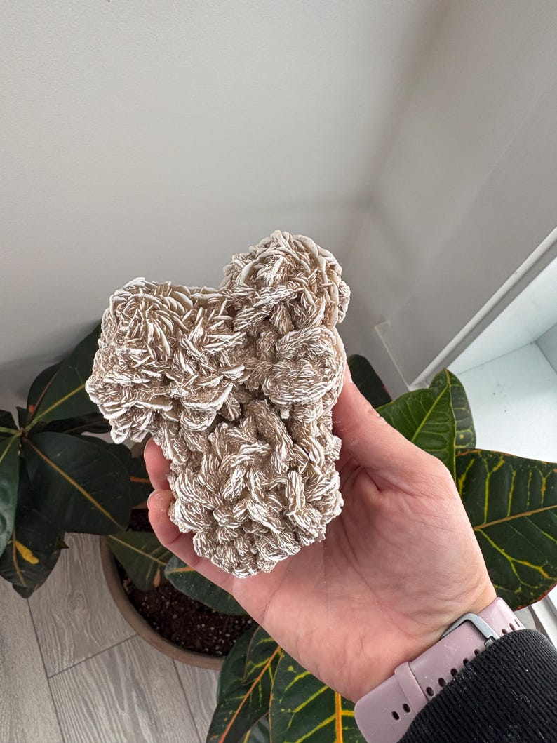 Desert Rose Gypsum Clusters | Selenite Desert Rose | Desert Rose Crystal | Desert Rose Cluster | Raw Crystal| Selenite Style 4
