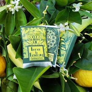 Puede incluir: Tres envoltorios de jab&oacute;n en barra verde y amarillo con el texto "Cut Shampoo Bar Lemon & Rosemary Clarifying & Fresh" en un envoltorio. Los envoltorios est&aacute;n rodeados de hojas verdes y limones amarillos.