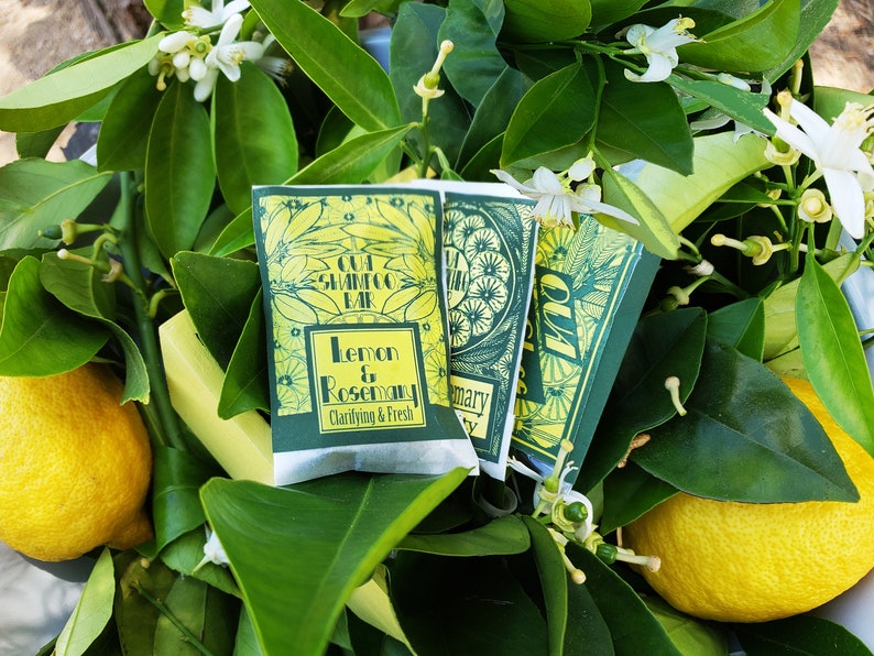Puede incluir: Tres envoltorios de jab&oacute;n en barra verde y amarillo con el texto "Cut Shampoo Bar Lemon & Rosemary Clarifying & Fresh" en un envoltorio. Los envoltorios est&aacute;n rodeados de hojas verdes y limones amarillos.