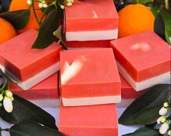 Sweet Orange & Blossom Shampoo Coconut Conditioner Combo Bar