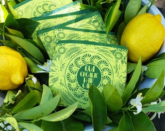 Lemon Rosemary Hair Care Sample Bundle - Shampoo Bar, Conditioner Bar and Hair Gloss