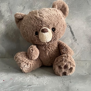Gund - Light Brown Teddy Bear Plush - 30 cm - Soft Toy