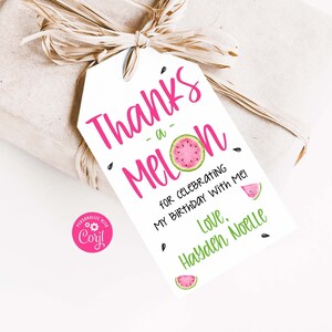 Editable Thanks a Melon Favor Tags, Watermelon Favor Tags, Pink Green, Gift Tags, Party Favors, Watermelon Party Decor Sz 2.5x3 - 1108