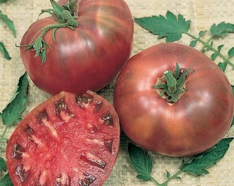 Hierloom Cherokee Purple Tomato Seeds - 20