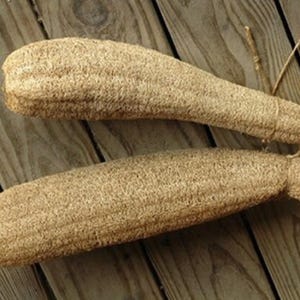 Heirloom Luffa Seeds - 20