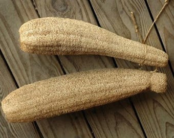 Heirloom Luffa Seeds - 20