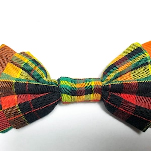 Peut inclure: Un nœud papillon à carreaux aux couleurs vives, notamment le rouge, l'orange, le jaune, le vert et le noir. Le nœud papillon est fixé à une sangle noire réglable, adapté à un usage formel ou décontracté.