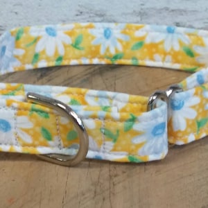 daisy dog collar, yellow dog collar, floral dog collar, flower dog collar, daisy martingale dog collar, floral martingale dog collar, collar
