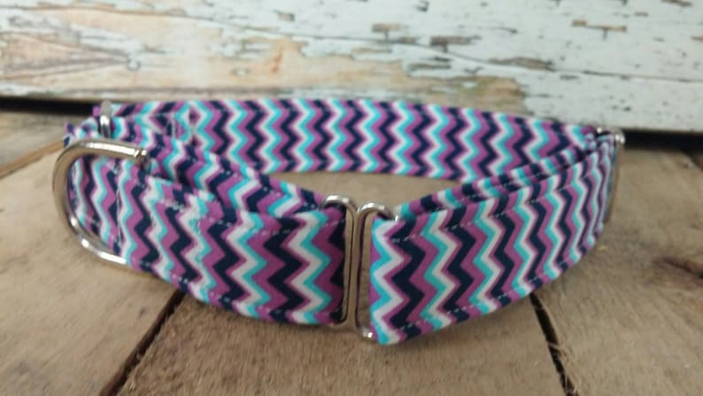 May include: A purple, blue, and white chevron patterned dog collar with a silver buckle.