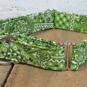 May include: Green bandana print dog collar with silver hardware.