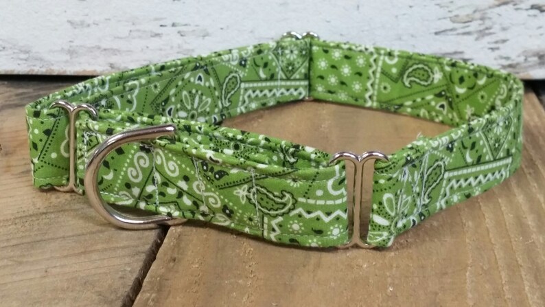 May include: Green bandana print dog collar with silver hardware.