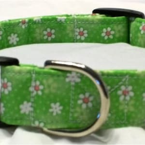 Collare per cani con fiori verdi, collare per cani con martingala, collare per cani con fiori, collare per cani verde, collare per cani da ragazza, collare per cani carino, collare e guinzaglio per cani