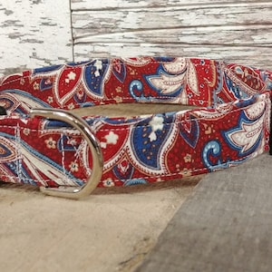 Paisley dog collar, dog collar, paisley red dog collar, Paisley martingale collar, buckle dog collar, dog collar and leash, dog gift